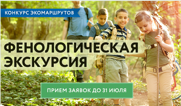 Экологический проект